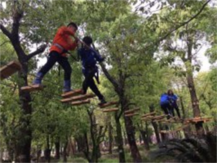 拓展公司对企业有什么益处，怎么选择？